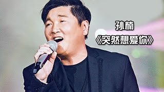 《我是歌手 3》第6期单曲纯享孙楠 《突然想爱你》 I Am A Singer 3 EP6 Song Sun Nan Performance【湖南卫视官方版】 [upl. by Yeltrab]