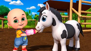 Baby Horse Song New Compilation  Animals Farm Old MacDonald  Nursery Rhymes amp Kids Songs Baby Bobo [upl. by Jock]