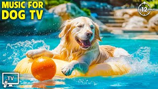 12 Hours of Healing Music for Dogs 🐕 Stress Relief Music For Dogs 🐕 Calming Music For Dogs [upl. by Craven]