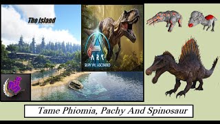 ARK Survival Ascended TAME PHIOMIA PACHY AND SPINOSAUR  MAP THE ISLAND  MHG 4K  33 [upl. by Ingalls930]