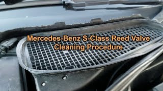 W220 Mercedes Reed Valve Cleaning Procedure [upl. by Santiago673]