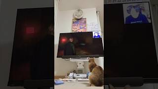 サイレントヒル2狩野英孝 ホラーゲーム実況プレイ cat [upl. by Eiramlatsyrc]