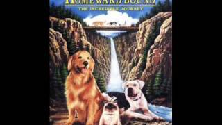 Disney Homeward Bound The Incredible Journey  Theme Piano Version by Jera3 [upl. by Lednic]