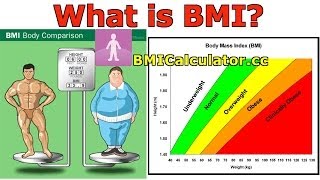 BMI Body Mass Index Introduction History and BMI Calculator [upl. by Nojed796]