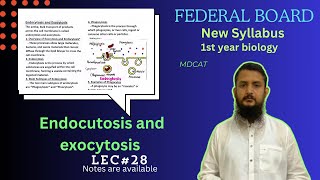 Endocytosis and Exocytosis  class 11 [upl. by Anawqahs]