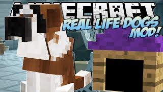 Minecraft  REAL LIFE DOGS MOD Puppies Kennels amp More  Mod Showcase [upl. by Kiel]