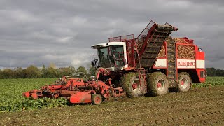 2003 Agrifac WKM Hexa 12 beet harvester  Mammoth 12row  Beet Harvesters in Britain DVD [upl. by Ydnarb]