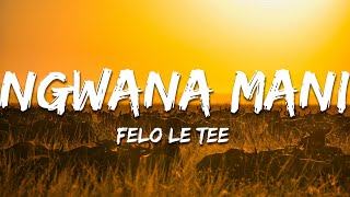 Felo Le Tee  Ngwana Mani Lyrics [upl. by Geof]