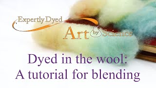 Dyed in the wool A tutorial for blending  How to  Expertly Dyed [upl. by Genovera]