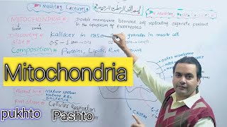 Mitochondria  Biology  Class 11  Dr Mushtaq Pashto Lectures [upl. by Ynej]