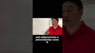 Receita do shot azedinho anti inflamatório e antioxidanteshorts [upl. by Kotz665]