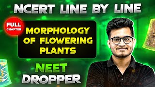 Morphology of Flowering Plants FULL CHAPTER  NCERT Class 11th Botany  Chapter 4  Yakeen NEET [upl. by Banks502]