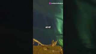 Top 10 Northern Lights Cruises You HAVE to Experience 🌌🚢 NorthernLights luxurycruise [upl. by Dnomaj288]