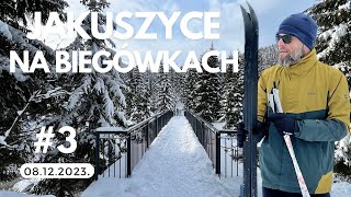 Na biegówkach w Jakuszycach Dzień trzeci [upl. by Sineray]