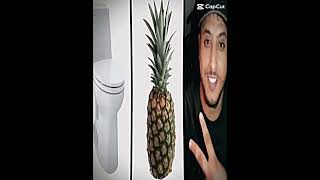 toilet ananas nasdas capcut edit meme [upl. by Annoyk]