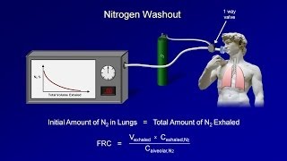 Pulmonary Function Tests PFT Lesson 3  Lung Volumes [upl. by Issiah]