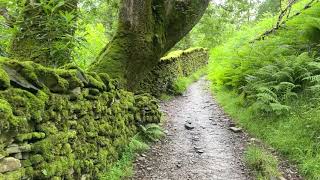 Rydal Water and Rydal Mount Circular foot path [upl. by Anatole965]