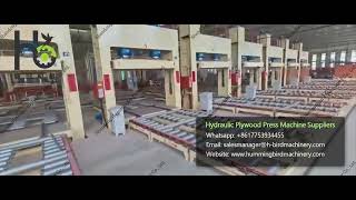 Plywood manufacturing plant equipmentAutomatic plywood production line [upl. by Ecyt]