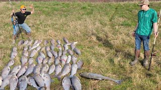 Snagging 66 Carp in a day [upl. by Imotas884]