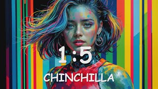 CHINCHILLA – 15 Lyrics 💗♫ [upl. by Notgnirrab343]