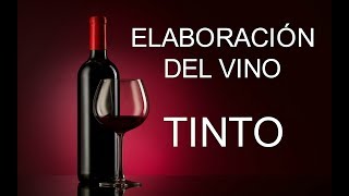 ELABORACIÓN DEL VINO TINTO ✔ [upl. by Chemarin288]