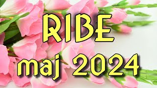 RIBE  Horoskop za MAJ 2024 [upl. by Riabuz]