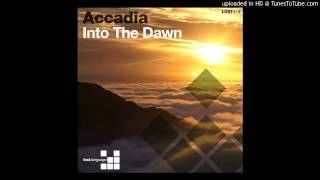 Accadia  Into The Dawn Cham amp Strange Version [upl. by Cohbath]