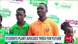 Texol Garden Project Launches in Jinja [upl. by Hanleigh548]