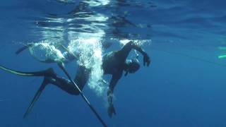 Kavieng png PART 2  spearfishing [upl. by Atinihc40]