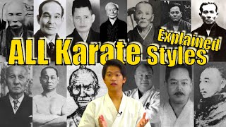 Karate Style Comparison Names amp Characteristics Explained [upl. by Midas]