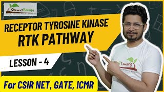 Receptor tyrosine kinase pathway  RTK receptor cell signaling [upl. by Nipsirc]