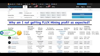 Why does Flux mining profit not match with Whattomine data [upl. by Netti]