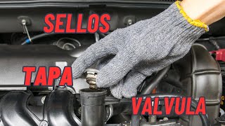 Como adaptar sellos de tapa válvula [upl. by Lise]