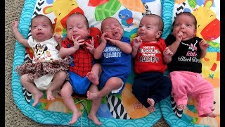 Quintuplets at home Parents’ suddenly surreal life with 7 kids [upl. by Leunamnauj712]