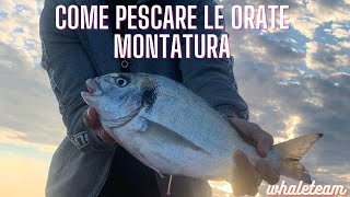 COME PESCARE LE ORATE DA TERRA  MONTATURA INNESCO  CONSIGLI PRATICI [upl. by Pippy531]