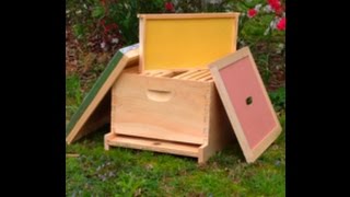 First Year Of Beekeeping basic equipment starting your beehive [upl. by Enilreug]