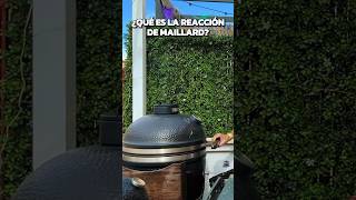 ¿Qué es la reacción de Maillard 🧐🔥 [upl. by Senoj]