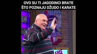 Goci Bend  Ovo su ti Jagodinci brate što poznaju džudo i karate  Gara Uzivo  Amig Show [upl. by Asel]