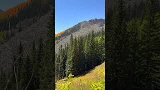 Amazing View in Colorado Rockies in Fall [upl. by Carhart345]