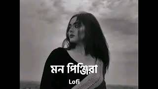 Mon Pinjira মন পিঞ্জিরা ।। Bengali lofi lofimusic lofiandreverb। [upl. by Polik]