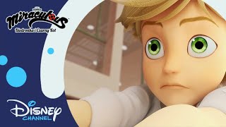 🍝 Rada Ruchu Oporu  Miraculous Biedronka i Czarny Kot  Disney Channel Polska [upl. by Gustav]