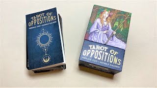 Tarot Of Oppositions  Tarot Deck Review [upl. by Maressa]