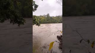 Nolichucky River flooding 28000 cfs September 26th 2024 [upl. by Noet]