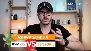 Which Ashwagandha is BEST for You  Ashwagandha Ksm 66 vs Sensoril vs Shoden [upl. by Rimidalg]