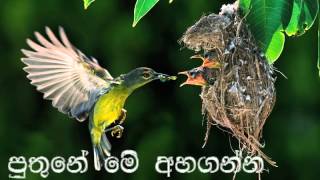 Puthune Me AhagannaSUJATHA ATTANAYAKEBySujeewa Munugoda [upl. by Reamonn872]