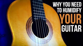 GUITAR TIP Why you NEED to humidify your guitar [upl. by Bevan]