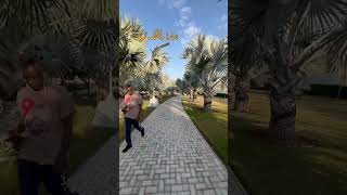 Our Walking track in Qatar [upl. by Anelis]