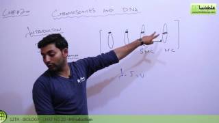 FSc Biology Book 2Introduction amp Composition of ChromosomesCh Chromosomes amp DNA12th Class Biology [upl. by Sillyhp996]