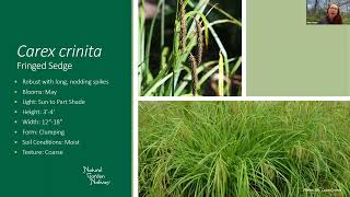 Carex Spotlight Insights from the Mt Cuba Report [upl. by Diannne631]