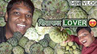 custard apple lover 😋  mini vlog of custard apple  Lifestyle vlog [upl. by Darraj]